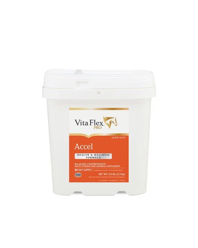 Accel vitamin and mineral supplement for horses from Vita-Flex
