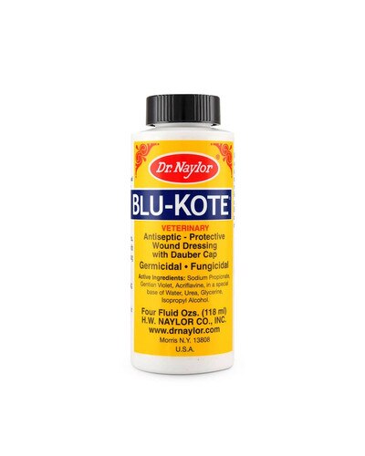 Blu-Kote Wound Dressing with dauber