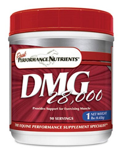 Peak Performance DMG 28,000