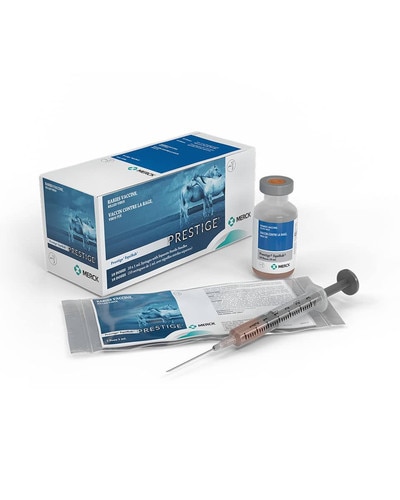 Prestige EquiRab with Havlogen by Merck - rabies vaccine for horses