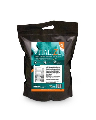 Biozyme Equine Vitamin and Mineral Supplement