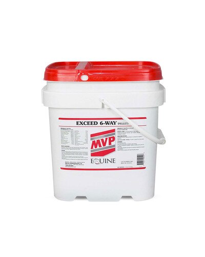Exceed 6-Way all-in-one formula for joint, muscle, hoof, digestive and coat health