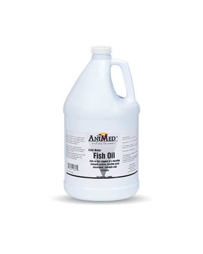 Fish Oil for Horses