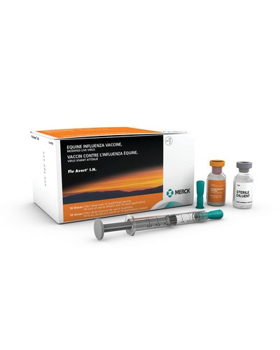 Flu Avert IN from Merck - equine influenza vaccine