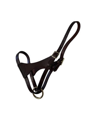 Horse Cents Leather Turnout Halter French Calf for foals and young horses