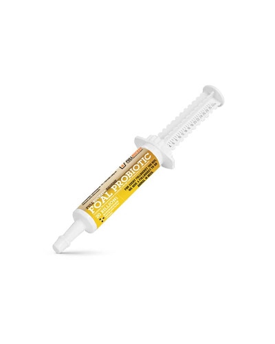 FullBucket Foal Probiotic Paste