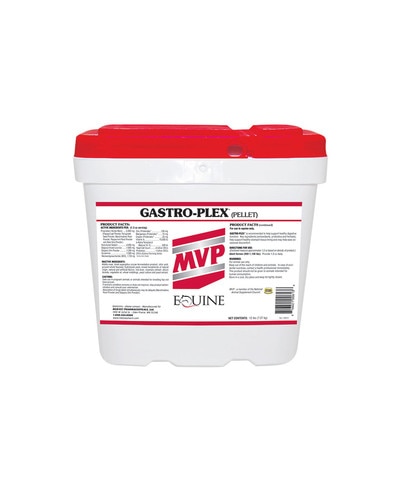 gut health for horses
