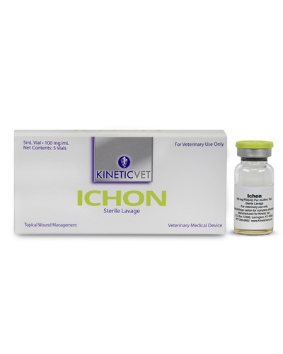 Ichon