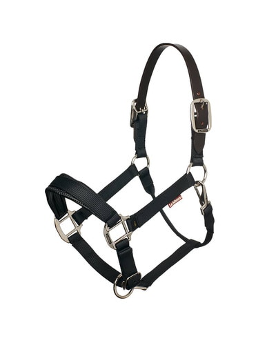 Black Breakaway Halter by LeMieux