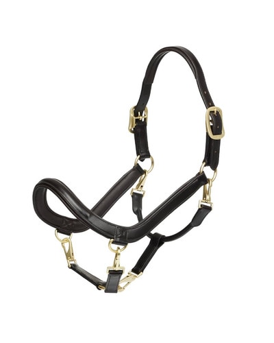 Leather Grooming Halter