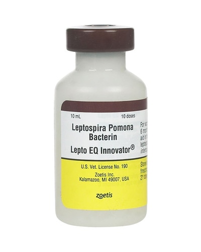 lepto eq innovator image