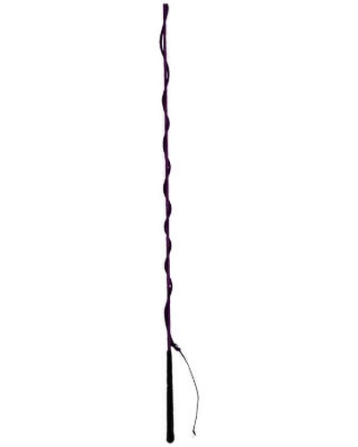 Lunge Whip