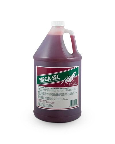 Mega-Sel antioxidant liquid for horses