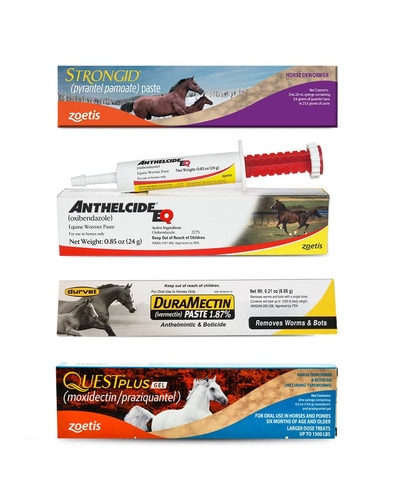 One Year Rotation Wormer Pack for horses