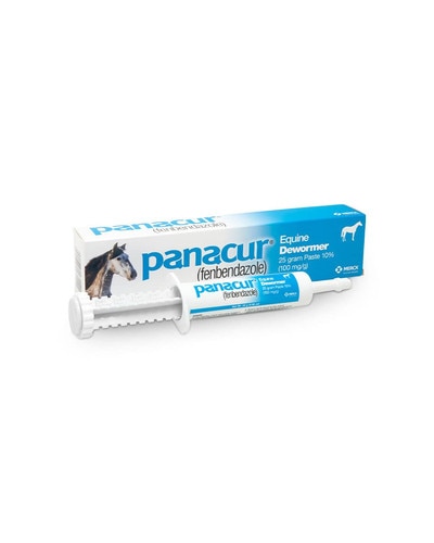 Panacur Paste Fenbendazole equine dewormer