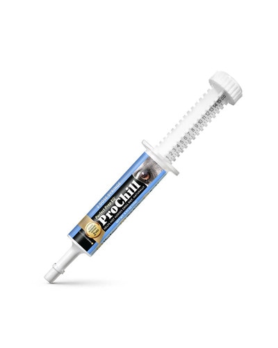 Perfect Prep EQ ProChill calming oral gel for horses from Perfect Products