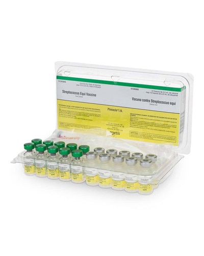 Pinnacle I.N. strangles vaccine for young horses from Zoetis (10 pack)