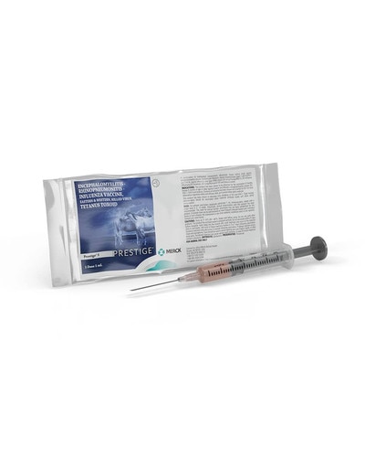 Prestige 5 with Havlogen from Merck vaccine for horses