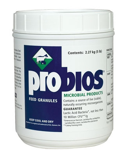Feed Granules