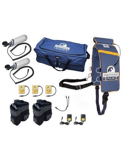 Niagara Equissage Professional Pulse Set for horses