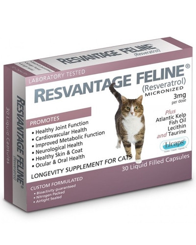Resvantage Feline