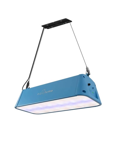 Equilume Stable Light with blue-enriched white light during the day