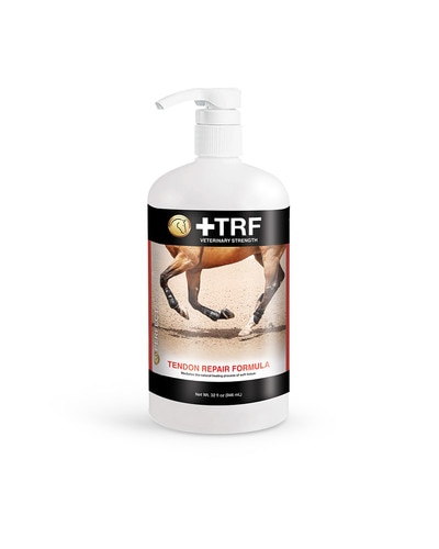 TRF Tendon Repair Formula for Horses
