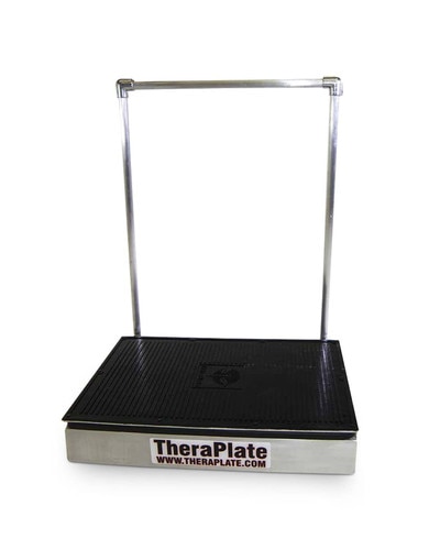 Theraplate K6 Human Model with Hand Rail