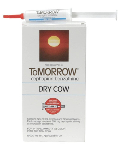 Tomorrow Mastitis