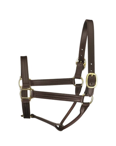 Perri's Leather Track Style Halter