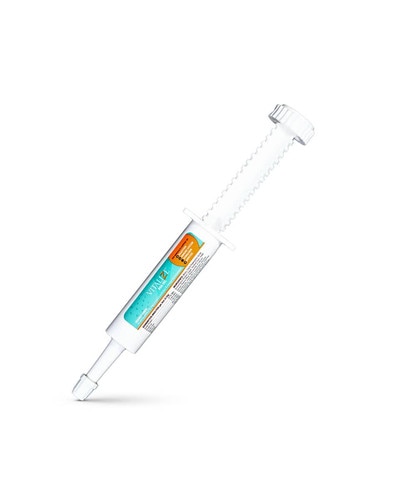 Vitalize Dog Recovery Gel from BioZyme