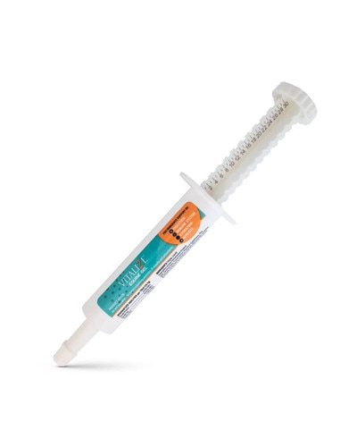 Vitalize Equine Gel paste from BioZyme - supplement for horses