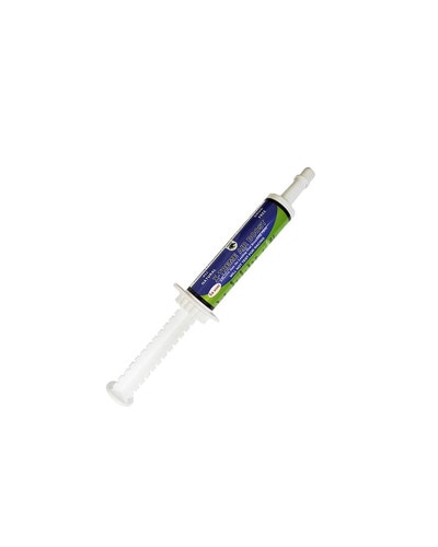 Winners Equine X-Treme Air Boost Paste